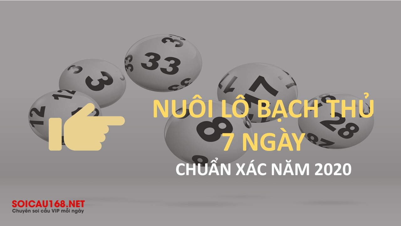 Lô nuôi 7 ngày - Cách nuôi lô khung chuẩn xác năm 2024